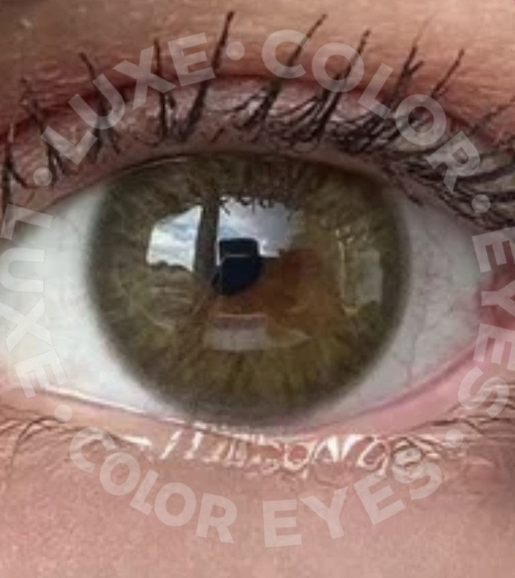 Verde obscuro