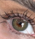 Verde oliva