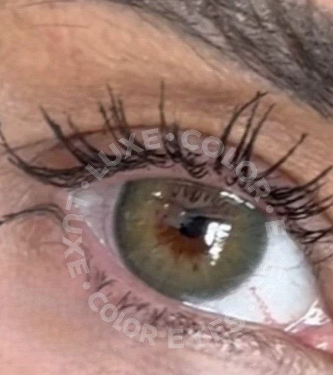 Verde oliva